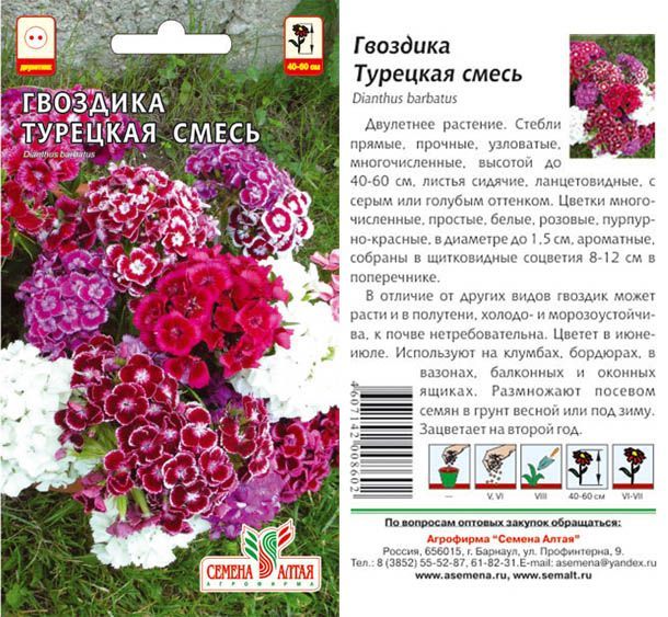 Гвоздика турецкая Смесь Окрасок (цветной пакет) 0,2г; Семена Алтая