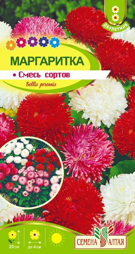 картинка Маргаритка Смесь Сортов (цветной пакет) 0,05г; Семена Алтая от магазина Флоранж