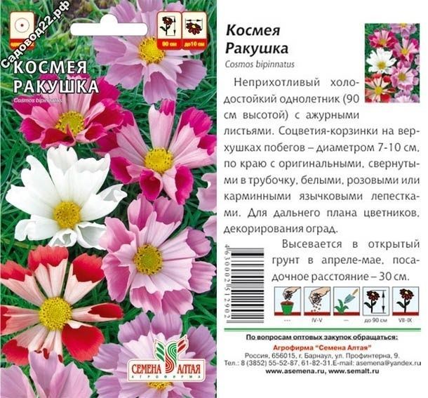картинка Космея Ракушка (цветной пакет) 0,5г; Семена Алтая от магазина Флоранж