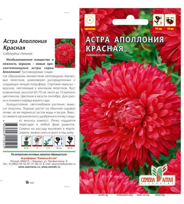 Астра Аполлония (цветной пакет) 0,2г; красная, Семена Алтая