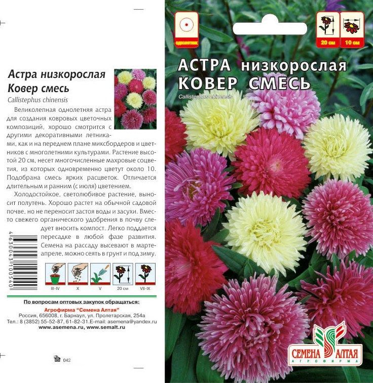 картинка Астра Ковер (цветной пакет) 0,2г; Семена Алтая от магазина Флоранж
