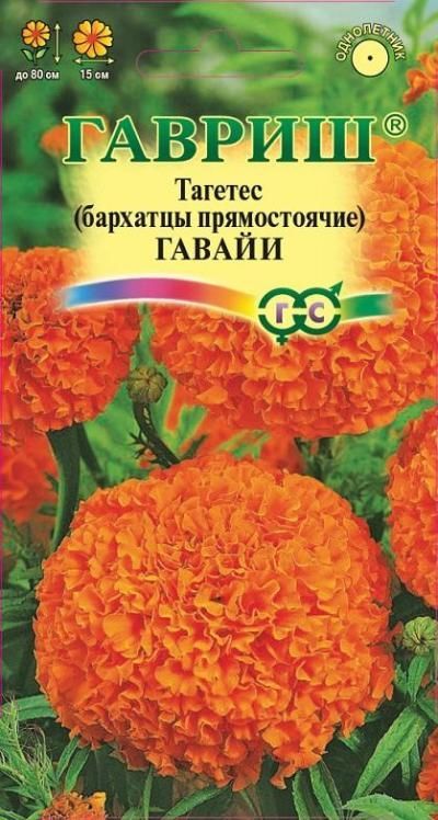 Бархатцы Гавайи (цветной пакет) 0,3г; Гавриш