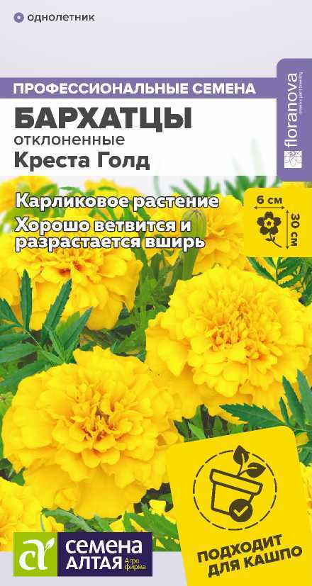 Бархатцы Креста Голд махровые (цветной пакет) 10шт.; Семена Алтая