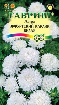 Астра Эрфуртский карлик Белая (цветной пакет) 0,3г; Гавриш