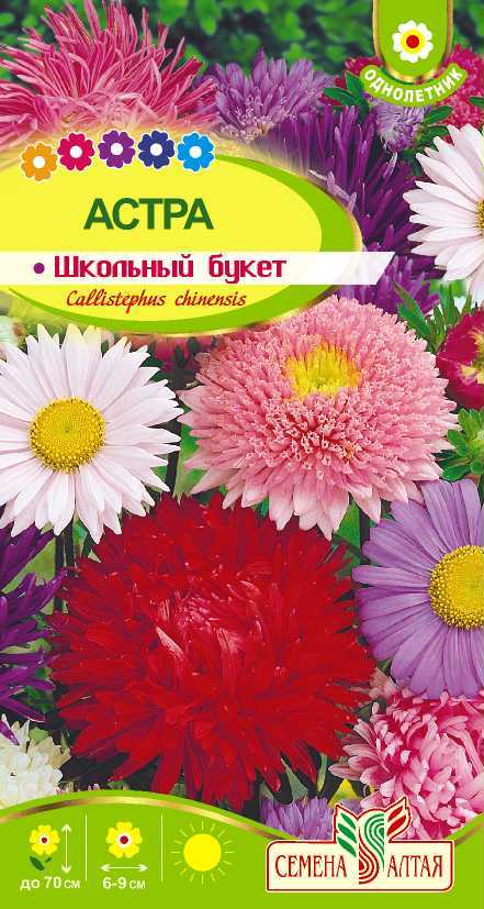 картинка Астра Школьный букет смесь (цветной пакет) 0,3г; Семена Алтая от магазина Флоранж