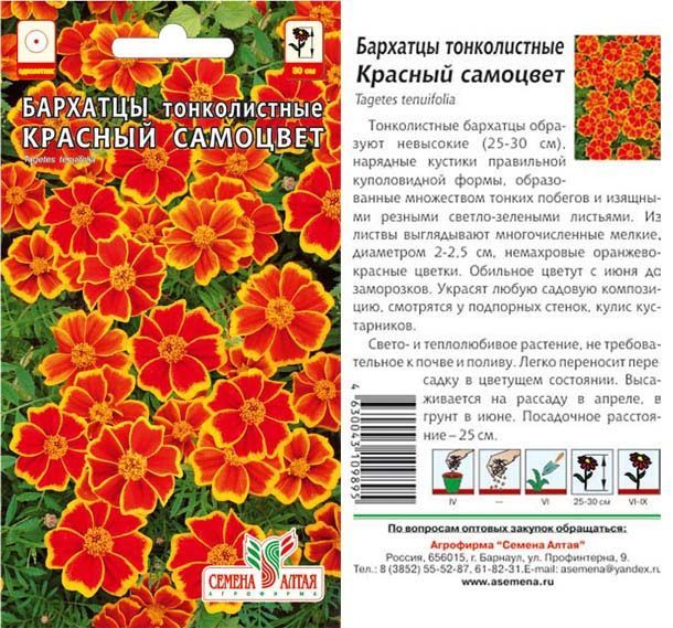 Бархатцы Красный Самоцвет (цветной пакет) 0,1г; Семена Алтая