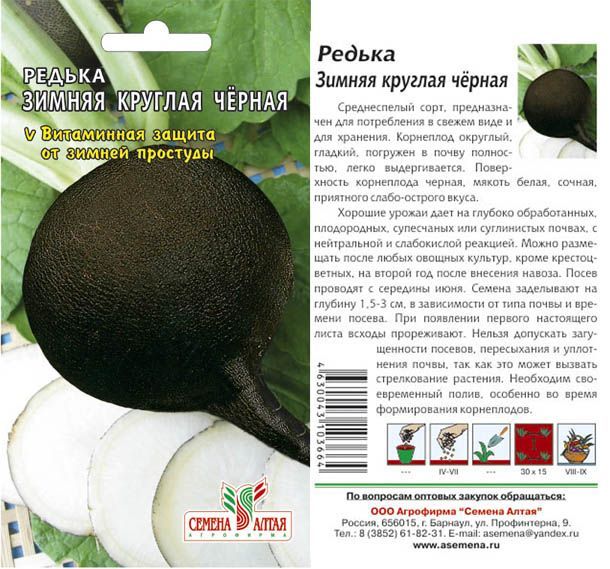 Редька черная Зимняя круглая (цветной пакет) 1г; Семена Алтая