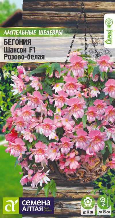 Бегония ампельная Шансон (цветной пакет) 5шт; Семена Алтая
