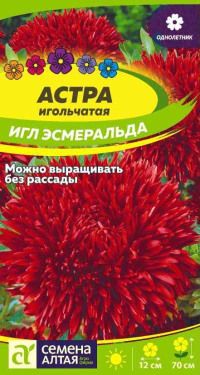 картинка Астра Эсмеральда (цветной пакет) 0,2г; Семена Алтая от магазина Флоранж