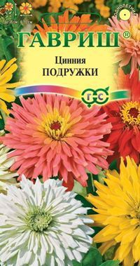 картинка Цинния Подружки кактусовидная смесь (цветной пакет) 0,2г; Гавриш от магазина Флоранж