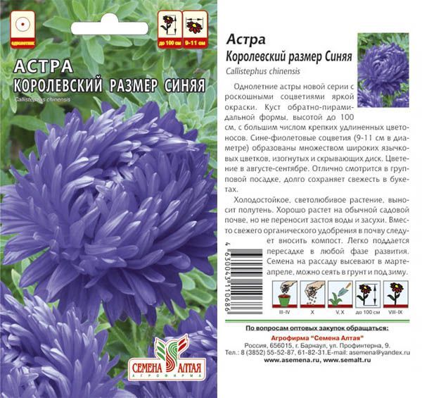 картинка Астра Королевский Размер синяя (цветной пакет) 0,2г; Семена Алтая от магазина Флоранж