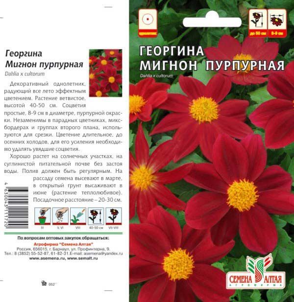 Георгина Мигнон (цветной пакет) 0,2г; Семена Алтая