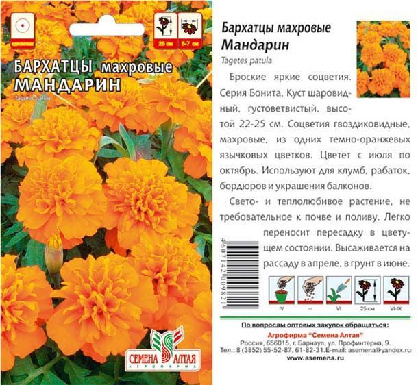 картинка Бархатцы Мандарин (цветной пакет) 0,3г; Семена Алтая от магазина Флоранж