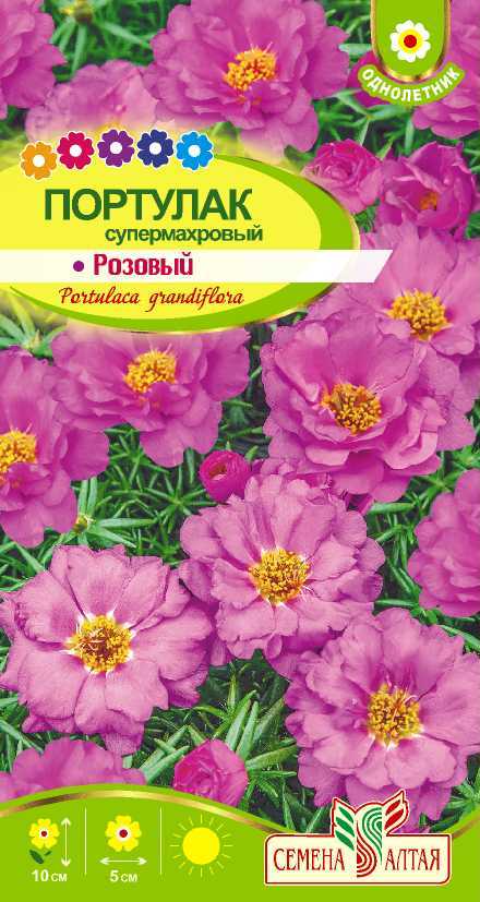 картинка Портулак Супермахровый розовый (цветной пакет) 0,1г; Семена Алтая от магазина Флоранж