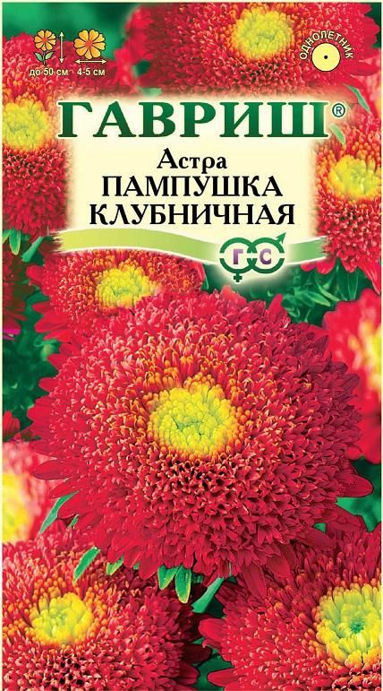Астра Пампушка клубничная (цветной пакет) 0,3г; Гавриш