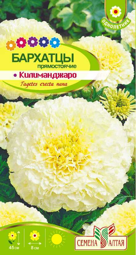 картинка Бархатцы Килиманджаро (цветной пакет) 0,05г; Семена Алтая от магазина Флоранж