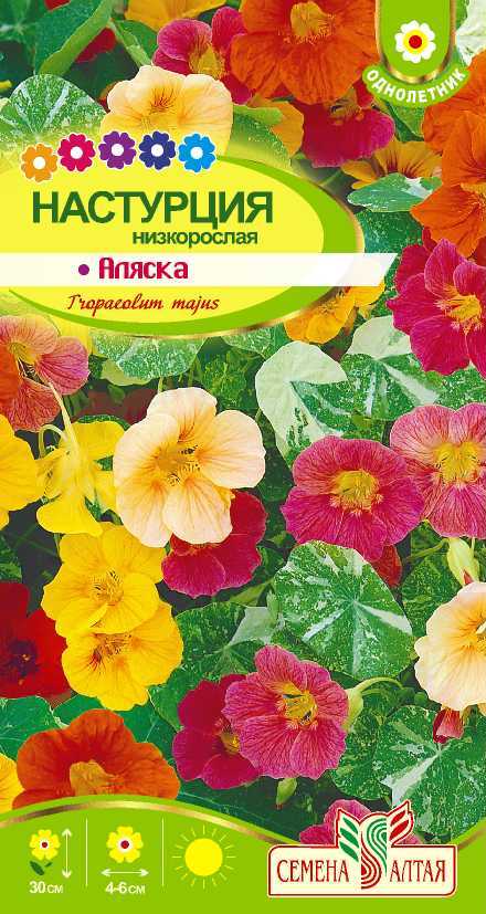 Настурция Аляска низкорослая (цветной пакет) 1г; Семена Алтая