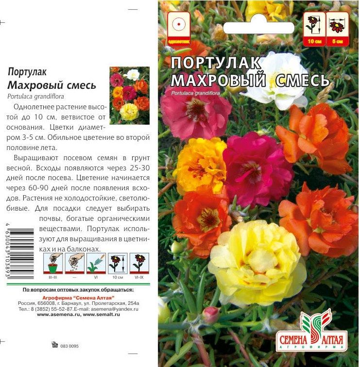 картинка Портулак Махровая Смесь (цветной пакет) 0,1г; Семена Алтая от магазина Флоранж