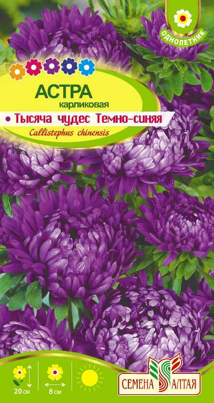 Астра Тысяча чудес темно-синяя карликовая (цветной пакет) 0,15г; Семена Алтая