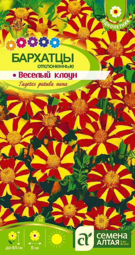 Бархатцы Веселый Клоун (цветной пакет) 0,3г; Семена Алтая