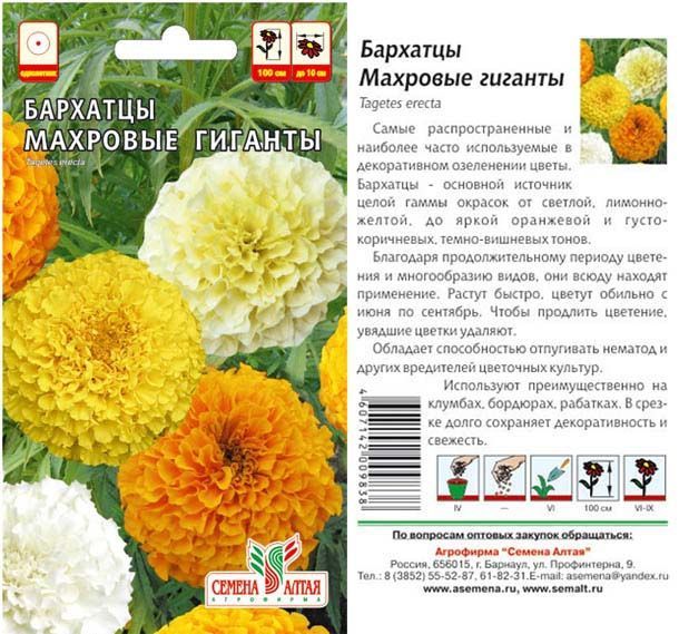 картинка Бархатцы Махровые Гиганты (цветной пакет) 0,3г; Семена Алтая от магазина Флоранж