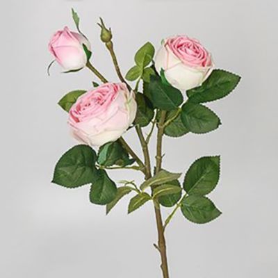 Роза, 76 см, 3 бутона