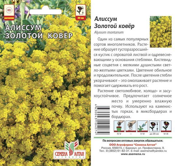 картинка Алиссум Золотой Ковер (цветной пакет) 0,1г; Семена Алтая от магазина Флоранж