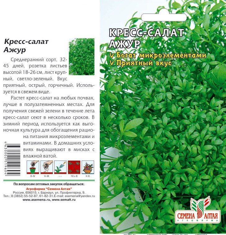 картинка Кресс-салат Ажур (цветной пакет) 1г; Семена Алтая от магазина Флоранж