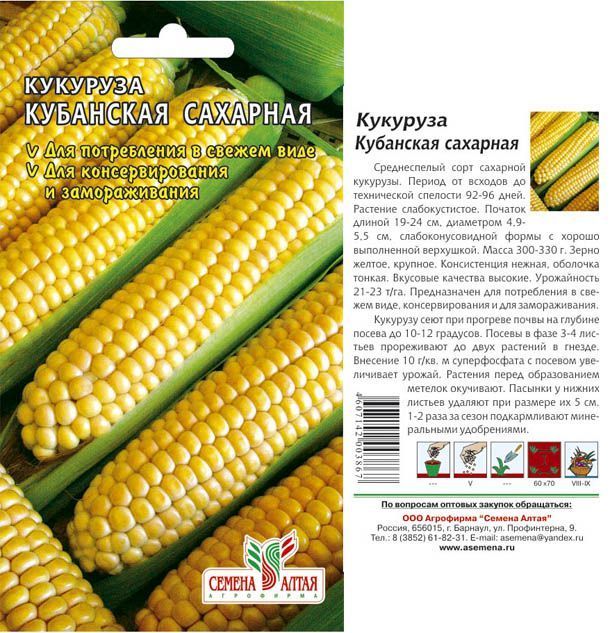Кукуруза Кубанский Сахарный 210 (цветной пакет) 5г; Семена Алтая