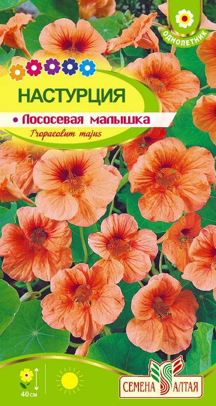 Настурция Лососевая малышка (цветной пакет) 1г; Семена Алтая