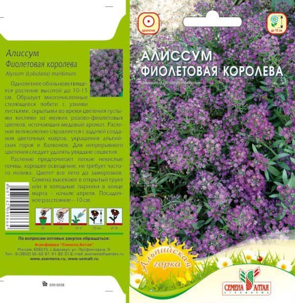Алиссум Фиолетовая Королева (цветной пакет) 0,1г; Семена Алтая
