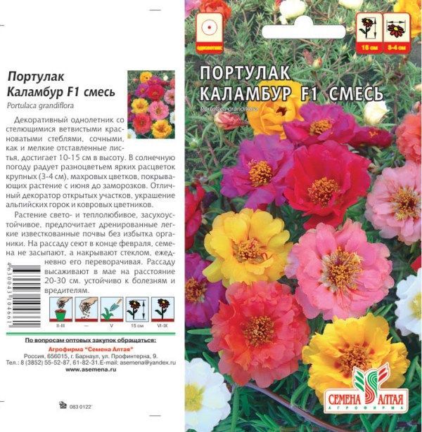 картинка Портулак Каламбур смесь (цветной пакет) 0,1г; Семена Алтая от магазина Флоранж