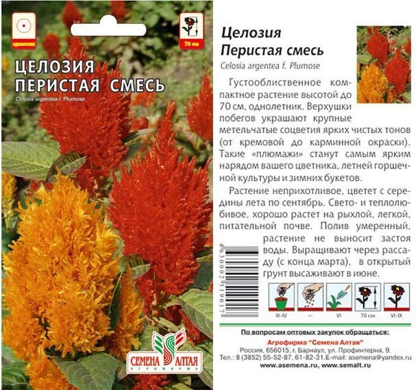 картинка Целозия перистая (цветной пакет) 0,3г; Семена Алтая от магазина Флоранж