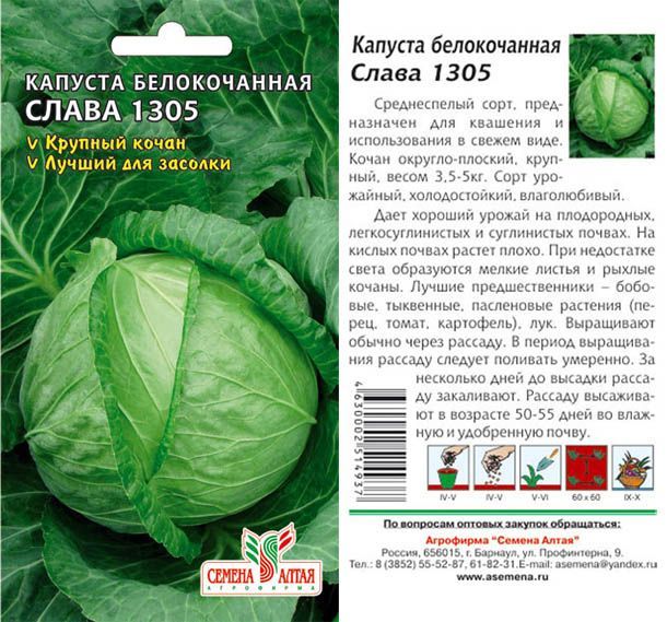 картинка Капуста белокочанная Слава 1305 (цветной пакет) 0,5г; Семена Алтая от магазина Флоранж