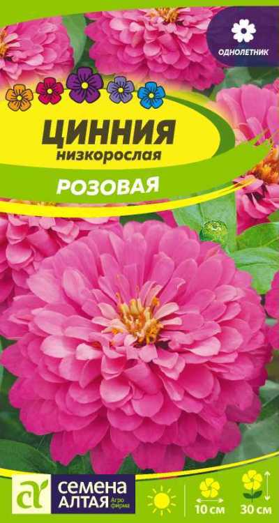 картинка Цинния Низкорослая Розовая (цветной пакет) 0,3г; Семена Алтая от магазина Флоранж