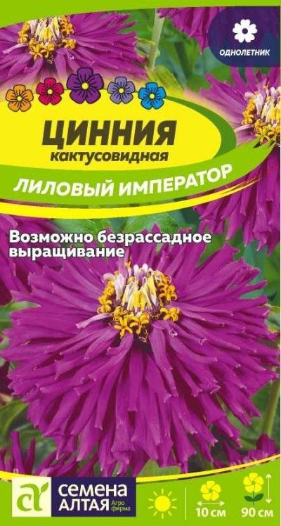 Цинния Лиловый Император кактусовидная (цветной пакет) 0,2г; Семена Алтая