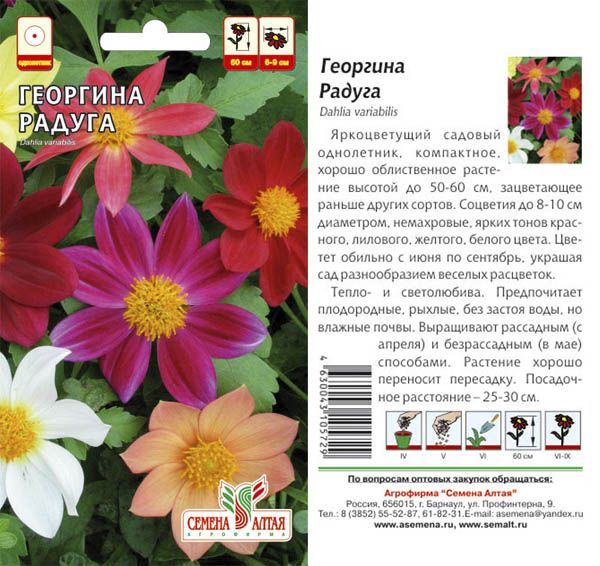 Георгина Радуга (цветной пакет) 0,2г; Семена Алтая