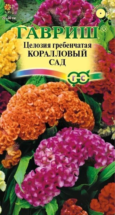 картинка Целозия гребенчатая Коралловый сад (цветной пакет) 0,2г; Гавриш от магазина Флоранж