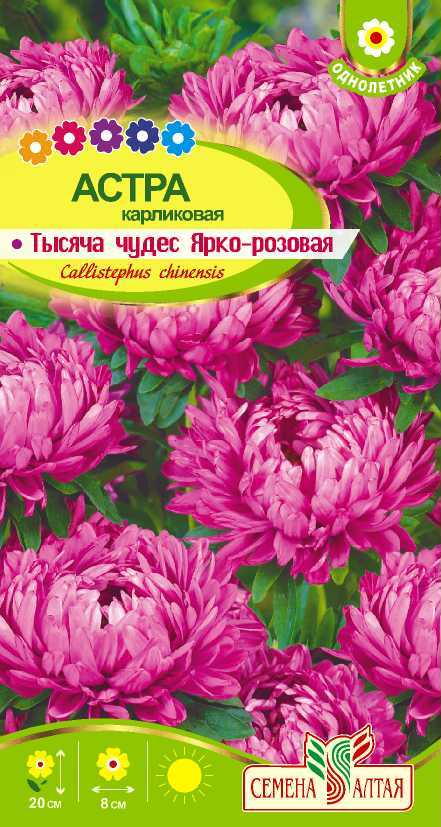 Астра Тысяча чудес ярко-розовая карликовая (цветной пакет) 0,2г; Семена Алтая