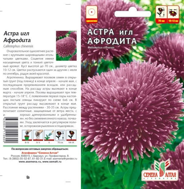 Астра Афродита (цветной пакет) 0,2г; Семена Алтая