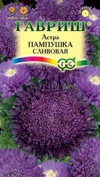 Астра Пампушка сливовая, (цветной пакет) 0,3г; Гавриш