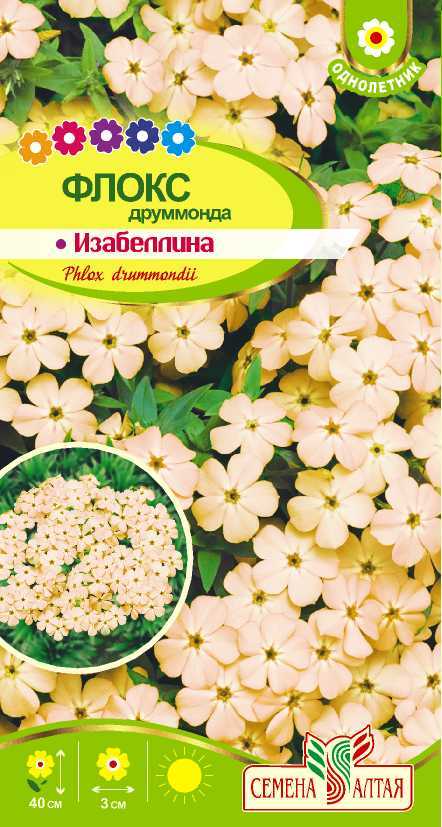 Флокс Изабеллина (цветной пакет) 0,1г; Семена Алтая