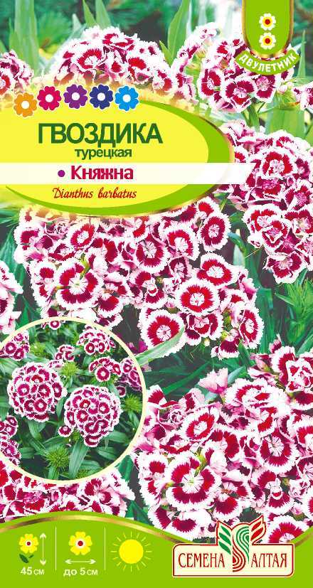 Гвоздика турецкая Княжна (цветной пакет) 0,2г; Семена Алтая