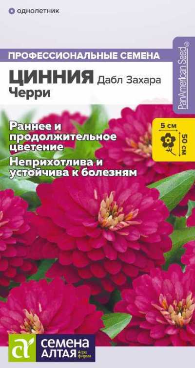 картинка Цинния Дабл Захара Черри (цветной пакет) 6шт; Семена Алтая от магазина Флоранж