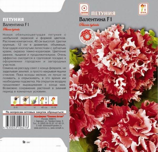 Петуния махровая Валентина F1 (цветной пакет) 10шт; Семена Алтая