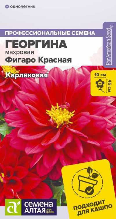 Георгина Фигаро Красная (цветной пакет) 5шт; Семена Алтая