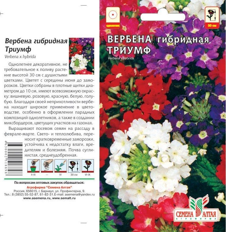 Вербена Триумф (цветной пакет) 0,1г; Семена Алтая