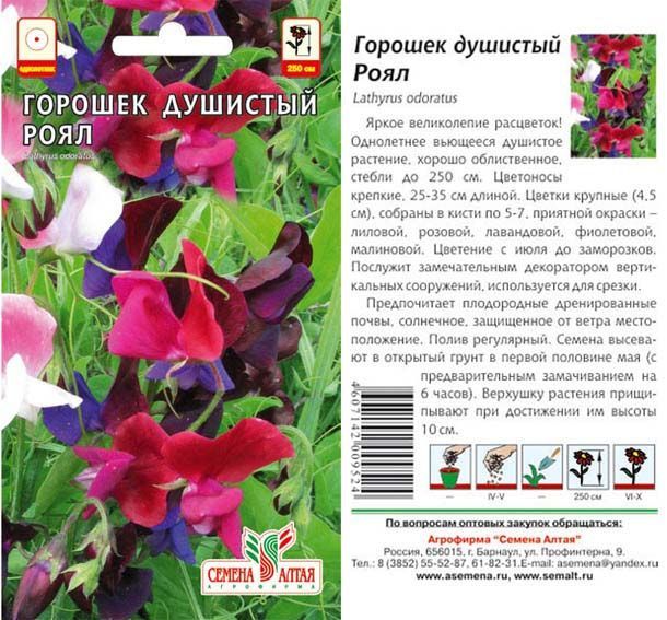Душистый горошек Роял (цветной пакет) 0,5г; Семена Алтая