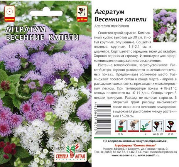 Агератум Весенние Капели (цветной пакет) 0,1г; Семена Алтая