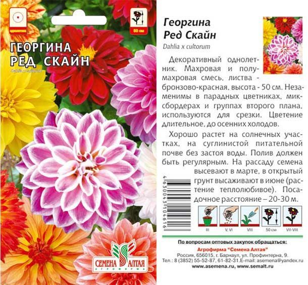 Георгина Ред Скайн (цветной пакет) 0,2г; Семена Алтая